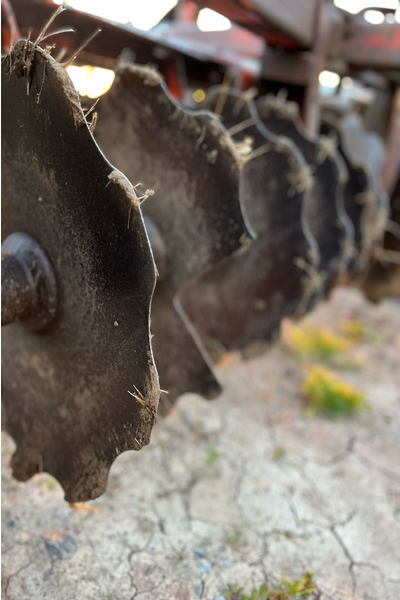 Garlic processing machinery